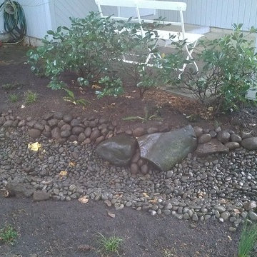 Vancouver Rain Garden Solution