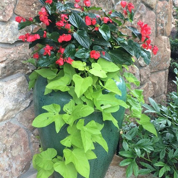 Gardening in the Shade