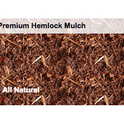 Mulch - Gardening And Lawn Care