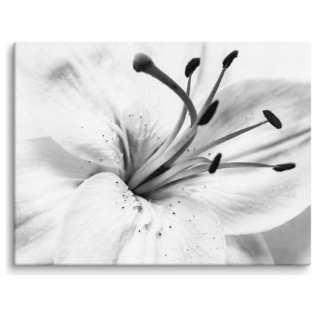 Grey Floral Canvas: High-key Lily Floral Nature Photo Wall Art Print, 12" X 16"