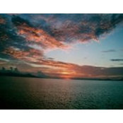 Jude Diplock's photo