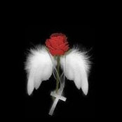 Natti Collins's photo
