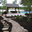 Arbor Masters Tree & Landscape