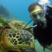 Robert Seals's photo