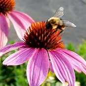 Tim Smith's photo
