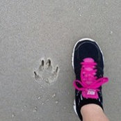 Lauren Coffey's photo