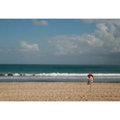 Jean Jin's photo