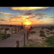 Maria Di Fede's photo