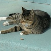 Jandy Onufer's photo