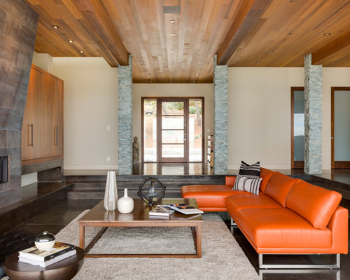 Orange Couch Ideas, Pictures, Remodel and Decor
