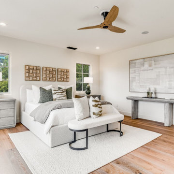Coastal Contemporary in La Jolla