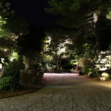 A most Unique Property with some Specimen Plant materials over 100 years old