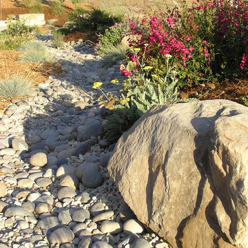 Natural Drainage