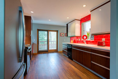 Spunky Contemporary Kitchen has lots of class