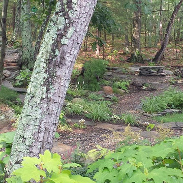 Woodland Living: Patio, Paths & Fire Pit with Woodland Gardens