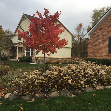 Native Perennial Gardens
