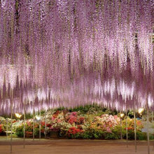 Wedding Background