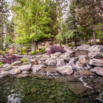 Updated Planting on Aubrey Butte