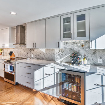 Oakton Contemporary Kitchen Remodel