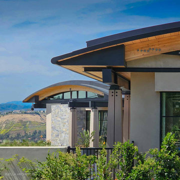 California Modern Home with Curved Roof