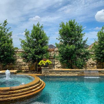 Evergreen Trees & Shrubs