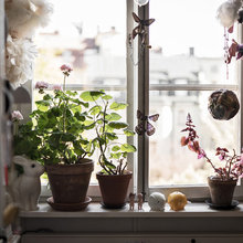 Windowsills