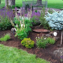 Landscape ideas