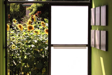 Entryway - small contemporary concrete floor entryway idea in San Francisco with green walls and a glass front door