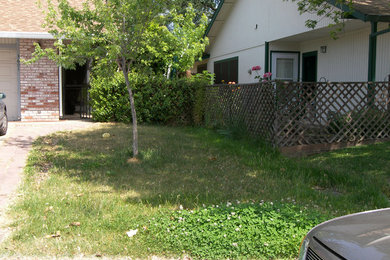 Before - lawn