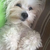 Lori Wenz Turner's photo