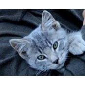 Sallyscott White's photo