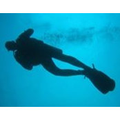 Ronald Miller's photo