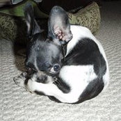Cynthia Johnson's photo