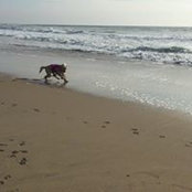 Allison Kremer's photo