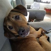 Judy Malec's photo