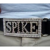 Spike Neumann's photo