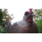 Sue Woods's photo