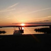 Crystal Wolbach's photo