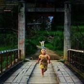 Đức Nguyễn's photo