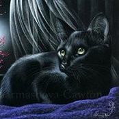 Pamela Cox's photo