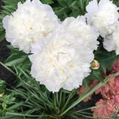 Maria Kelley's photo