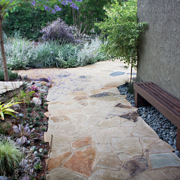 Mystical Habitat Garden