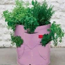 Planting