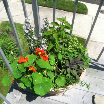 Vegetable & Herb Gardens