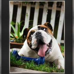 Framed Prints - Prints And Posters