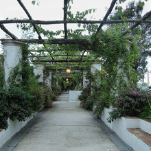 Landscape Design