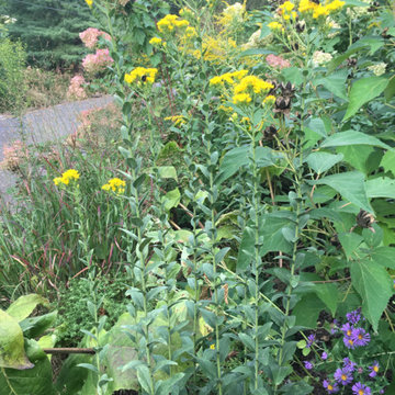 Front & Backyard Garden