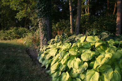 Photo of a traditional landscaping in Philadelphia.