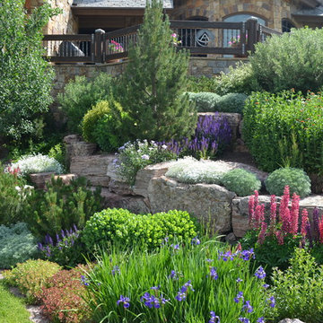 Design - Build Mountain Ranch Landscape in Summit County, CO