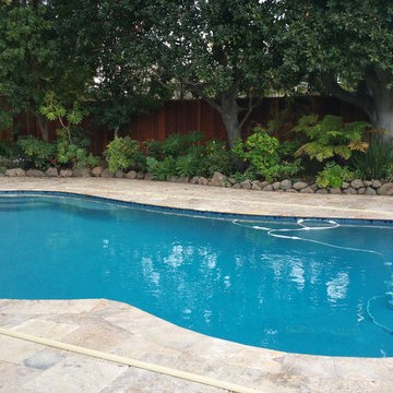 Freeform Shaped Pools